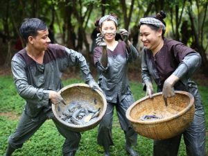 Ecotourism Activities in Vietnam