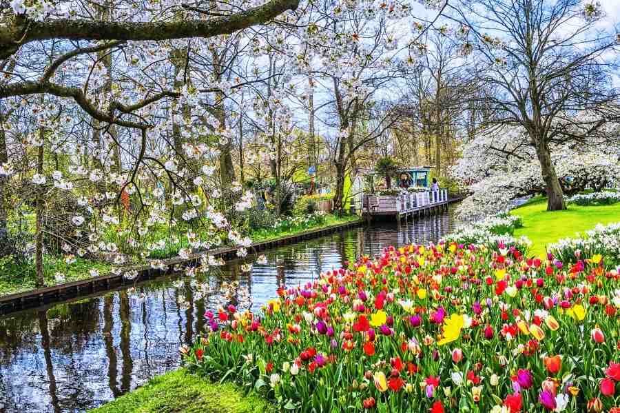 The Keukenhof Gardens in the Netherlands are like a magnificent nature painting