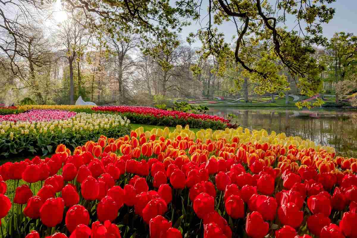 The Keukenhof Gardens in the Netherlands are like a magnificent nature painting