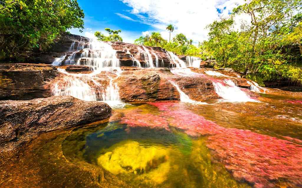 The Miracles of the Cano Cristales River