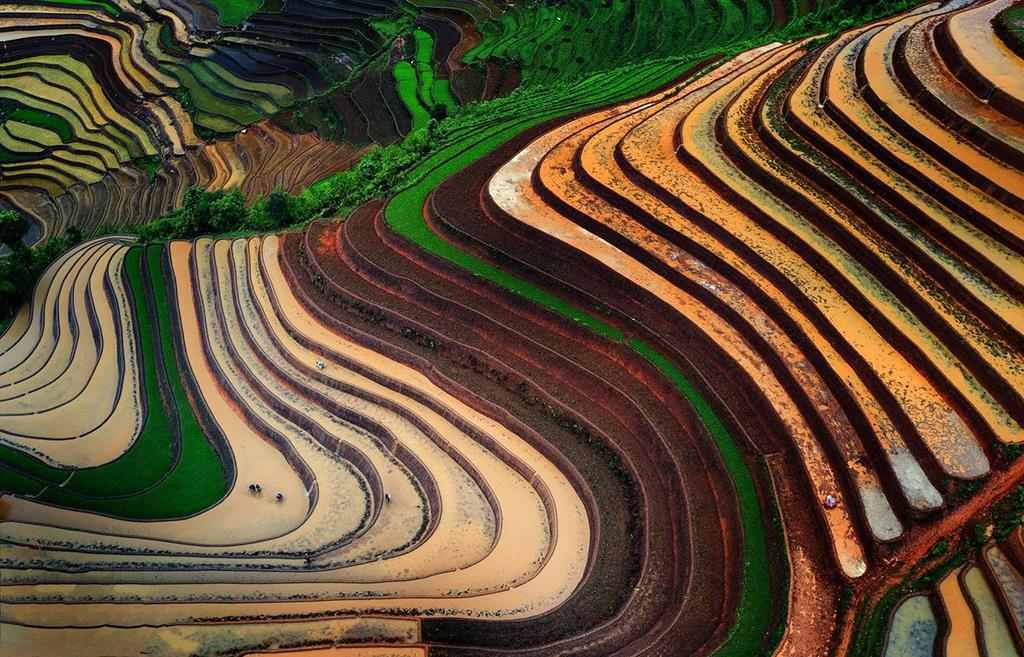 How to get to visit the terraced rice fields in Vietnam