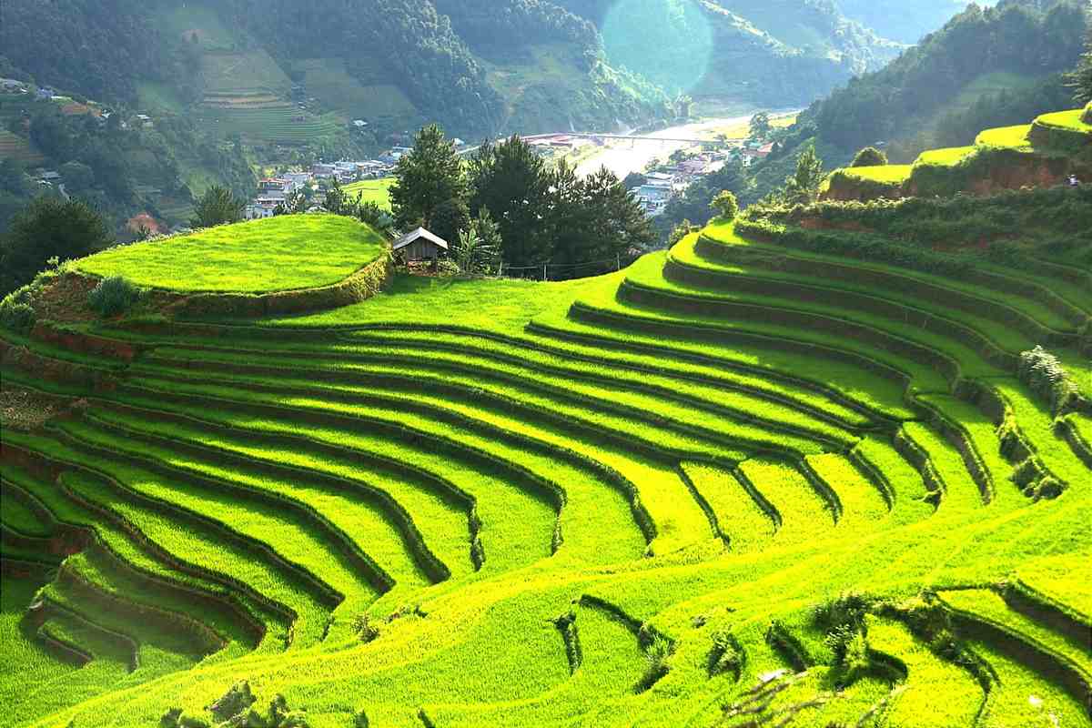 Have you visited the terraced fields of Vietnam?